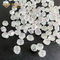 White Color Hpht Rough Lab Grown Diamonds Uncut 1ct Lab Diamond